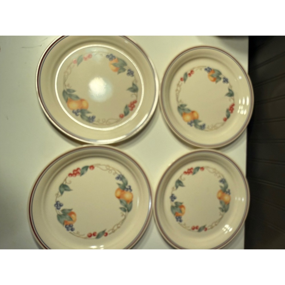 Corelle Abundance Dinner Plates Set of 4 Vitrelle 10.25 Inch Made in USA